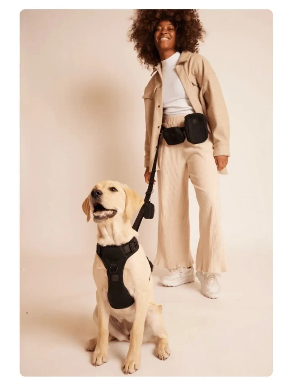 Maxbone Go! With Ease Leash Bundle - Dog Harness Set - NWT - MSRP $135 - Black.